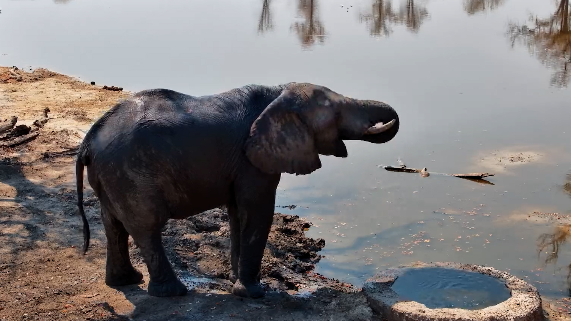 A Very Refreshing Visit to Elephant Pan