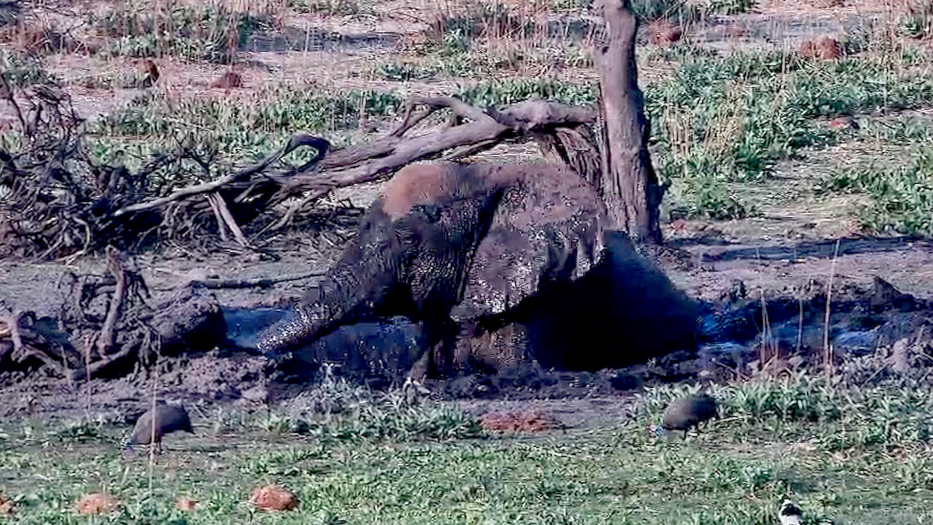 Mud Bath for One, Please!