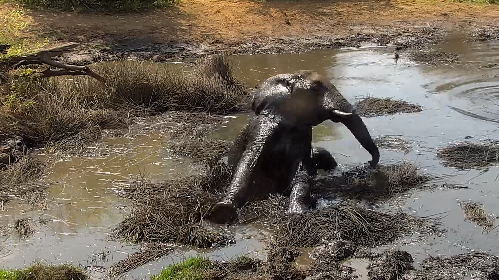 They’re BACK in the Mud Again