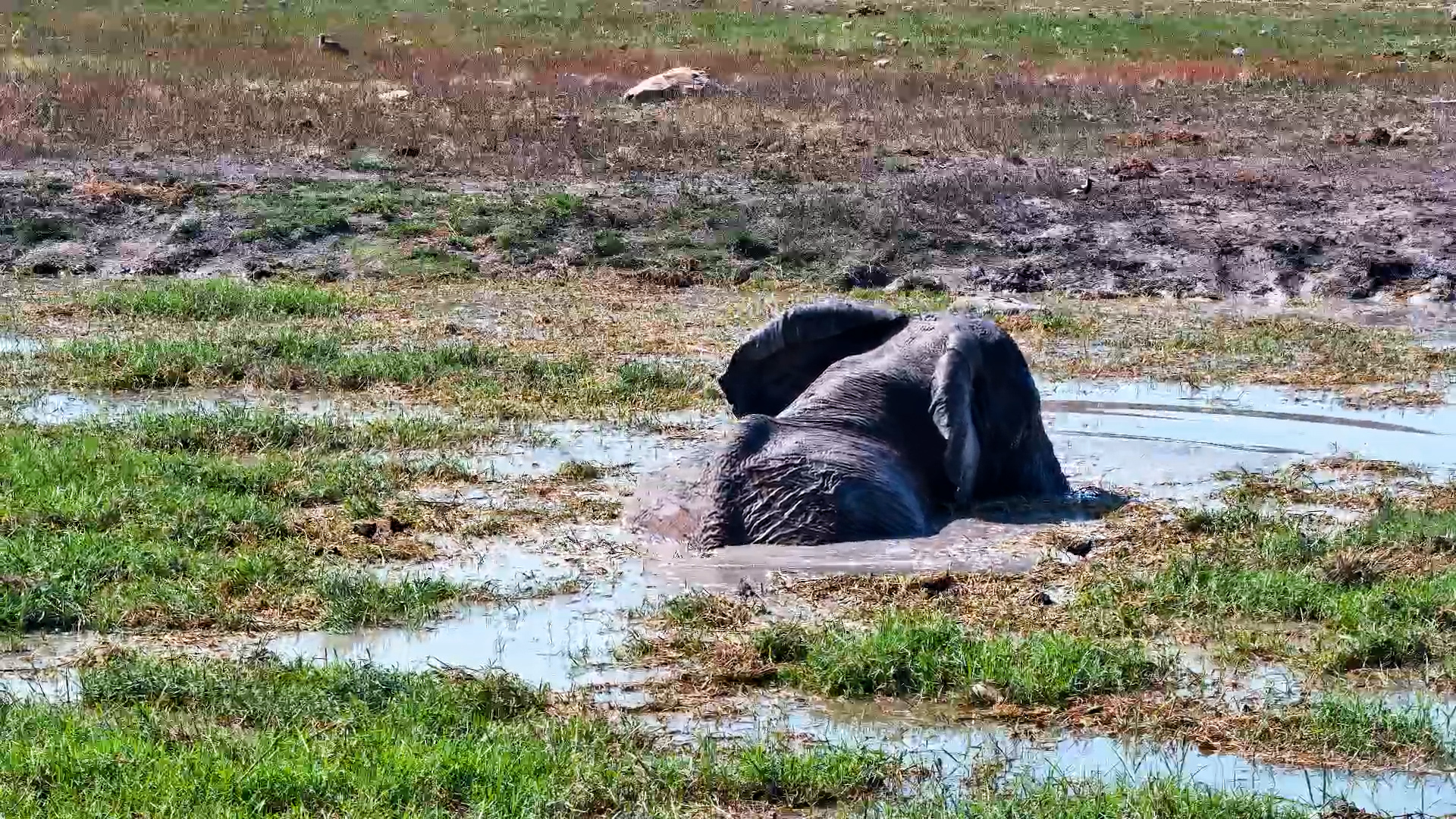 When the Water Is Too Good to Get Out