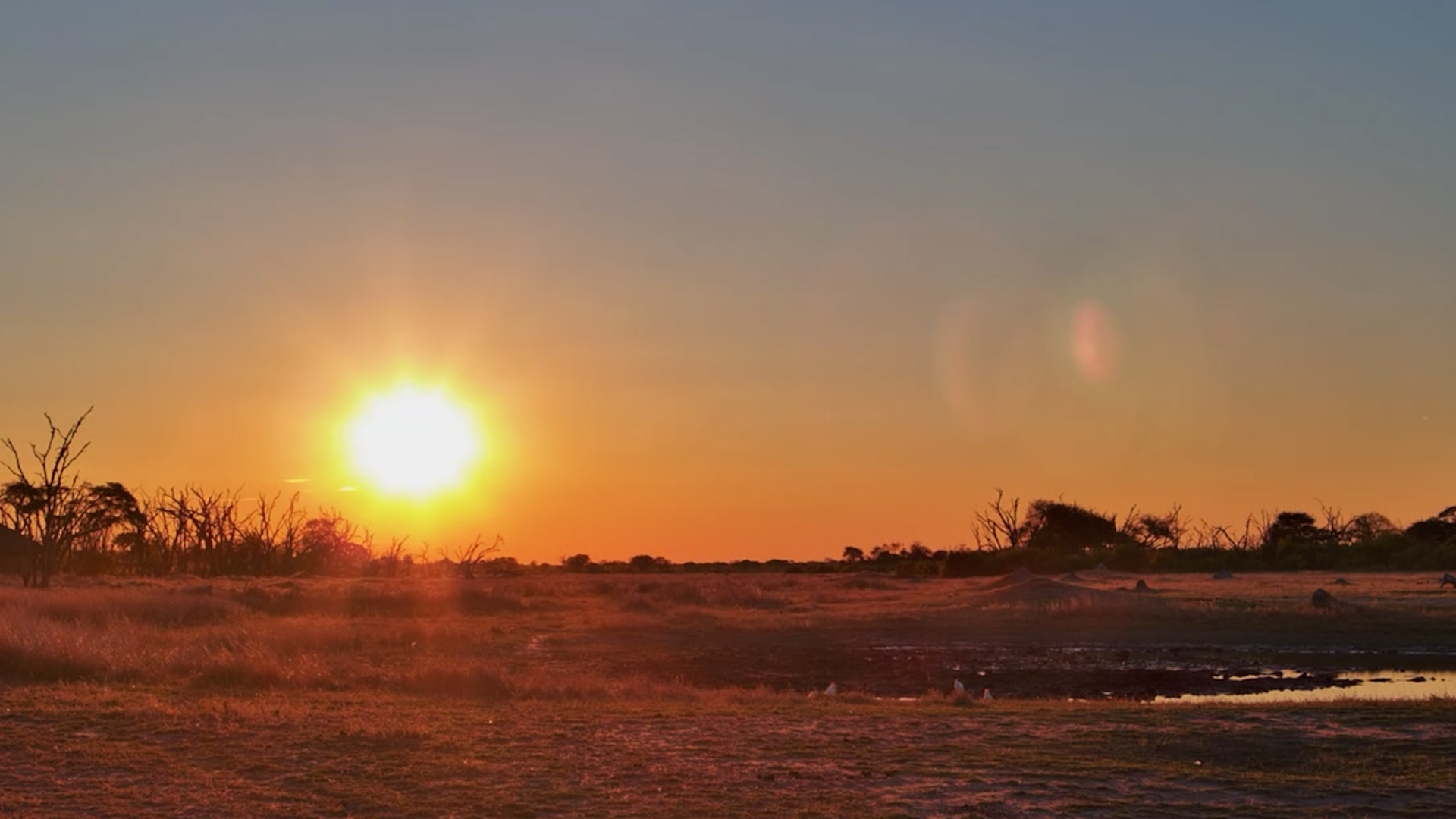 Golden Hour Settles Over The Hide