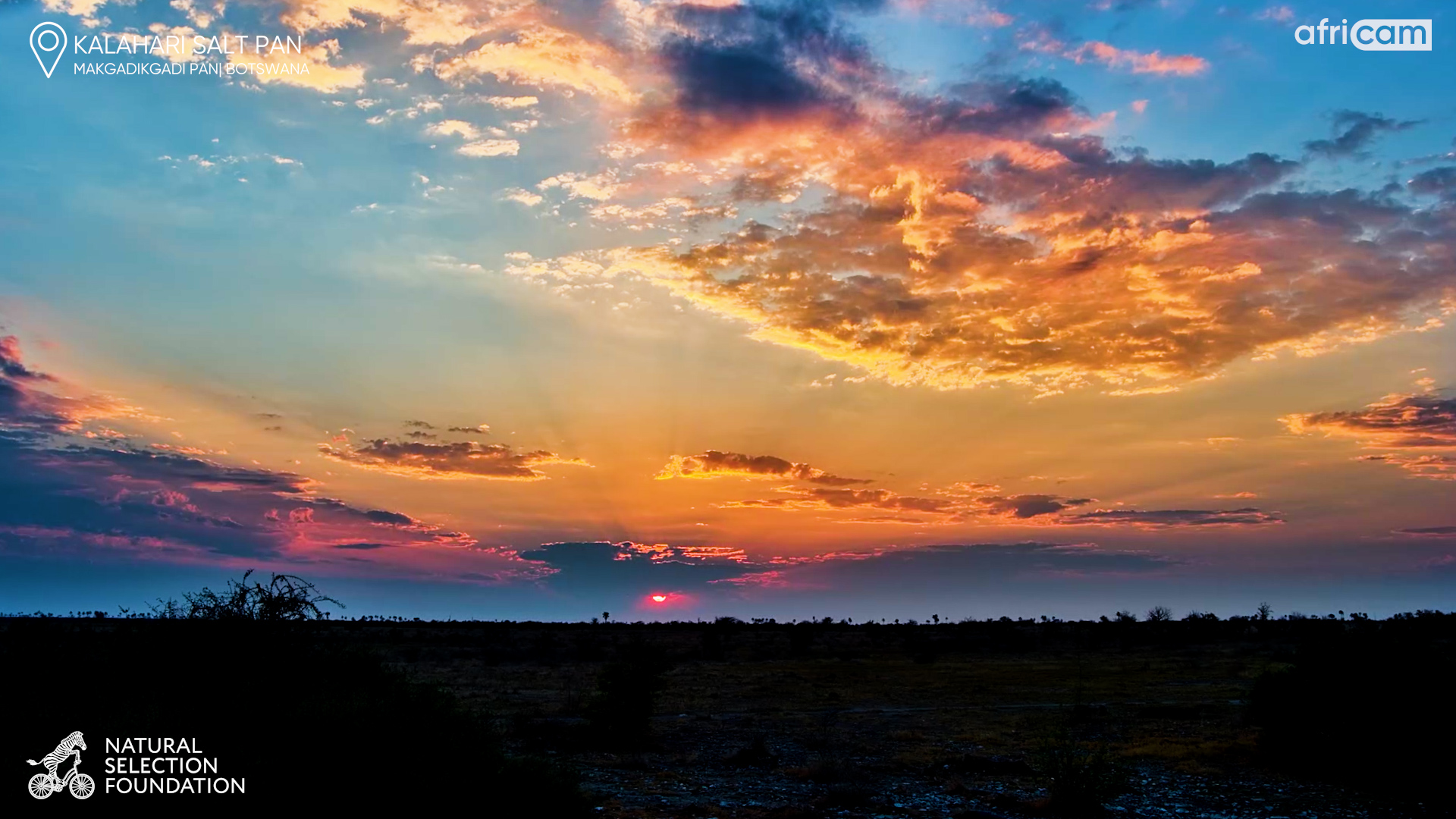 When the Kalahari Sky Steals the Show
