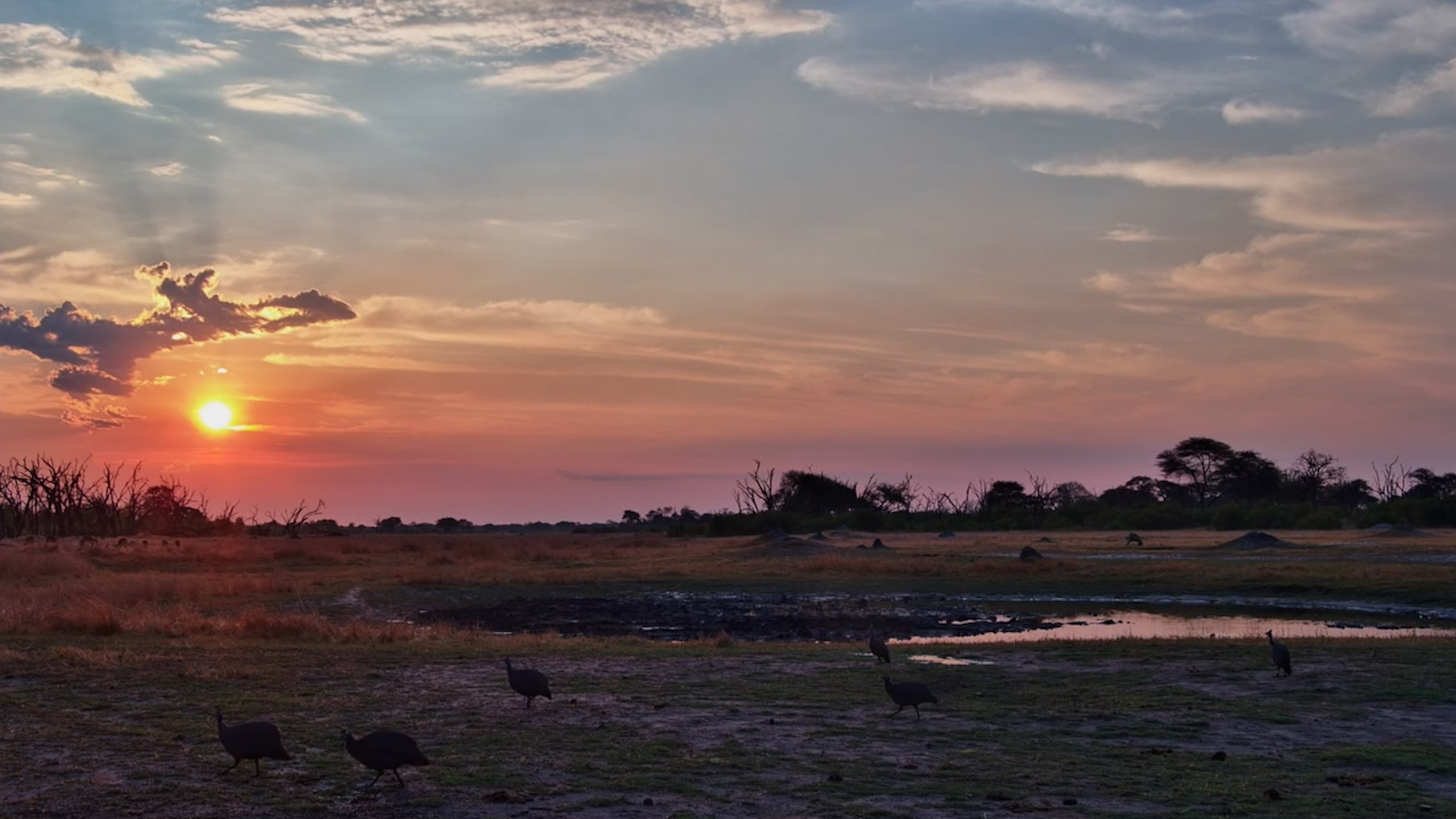 One Last Glow Before Nightfall at the Hide