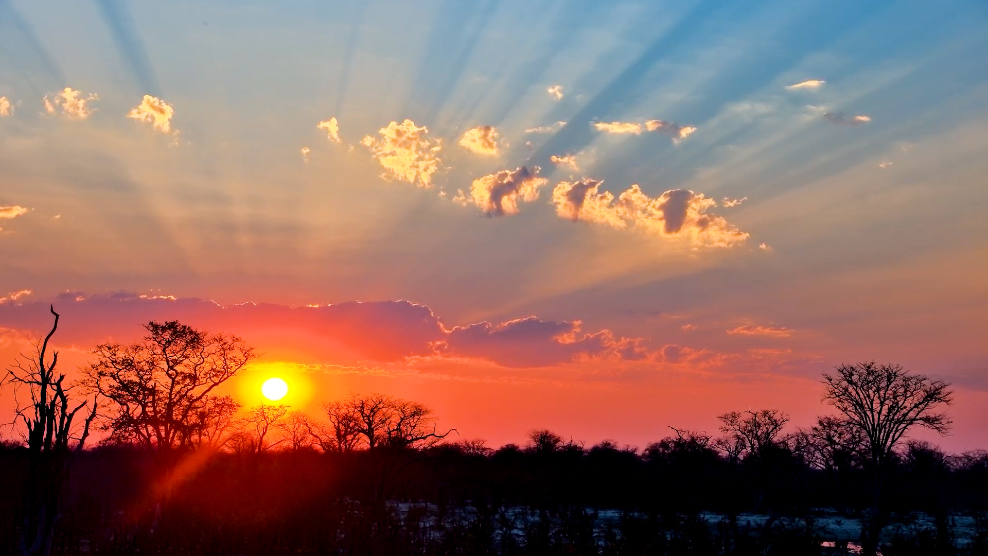 Golden Hour Settles Over Elephant Pan