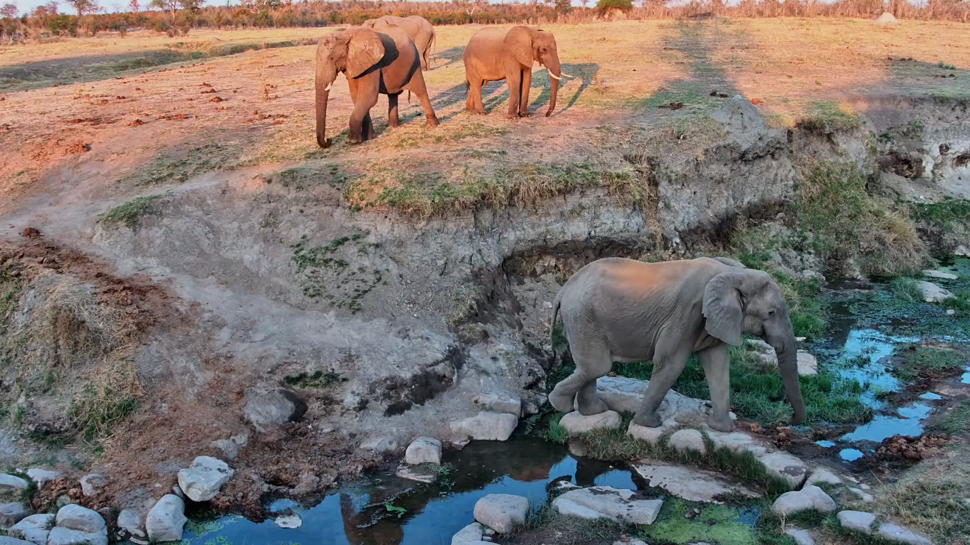 Down the Slope, Over the Rocks... Elephant Challenge Accepted!