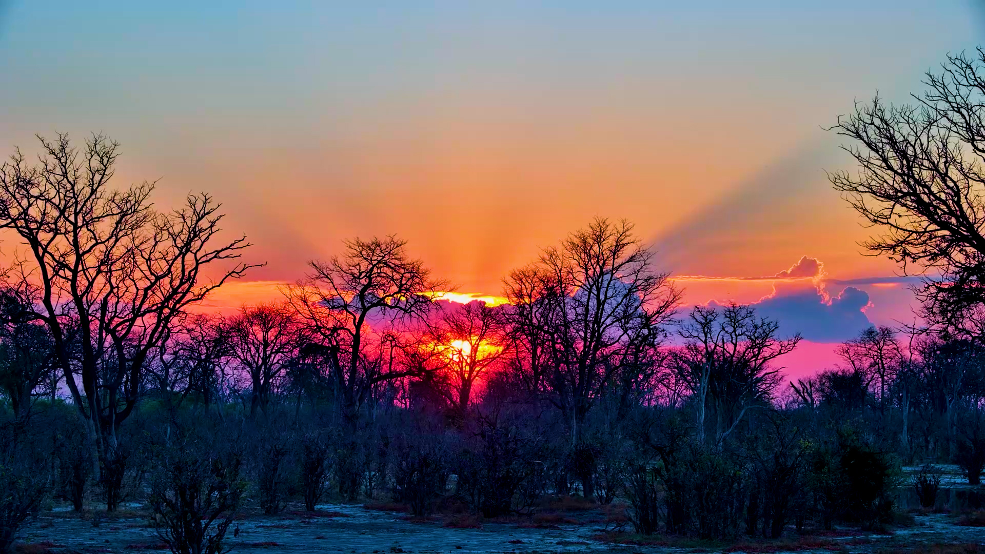 Selinda Signs Off in Spectacular Colour