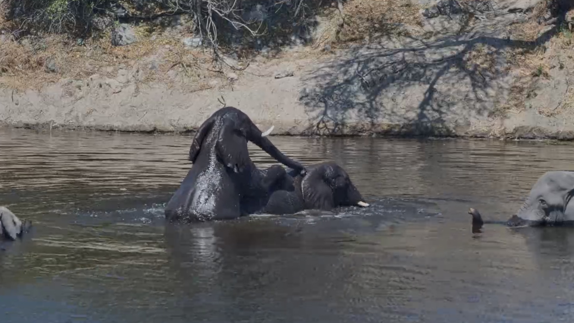 When the Afternoon Calls for a Long, Cool Soak