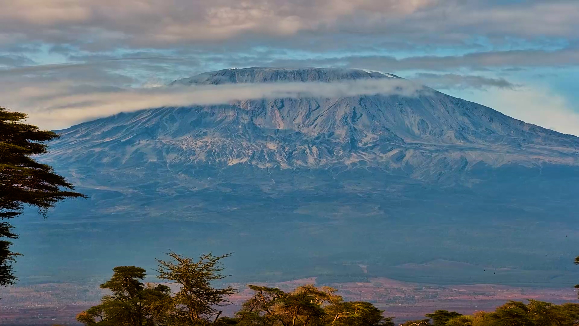 Kilimanjaro Steals the Show!