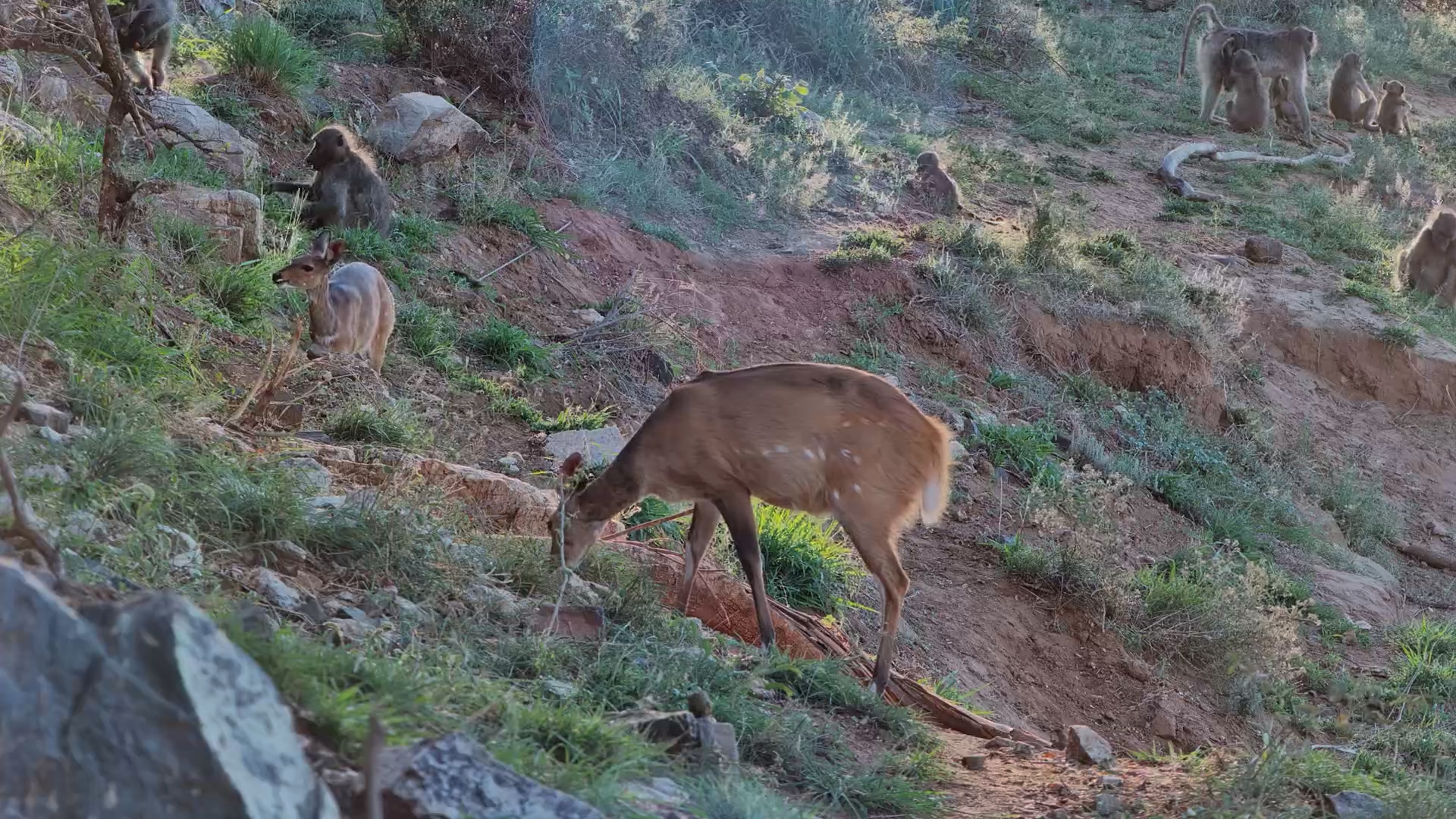 An Unlikely Bushveld Hangout!