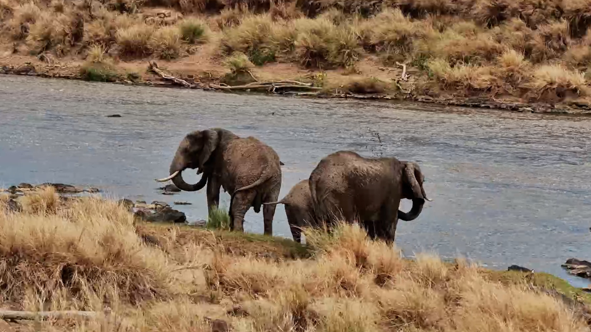 The Mara River Makes a Great Splash Zone!