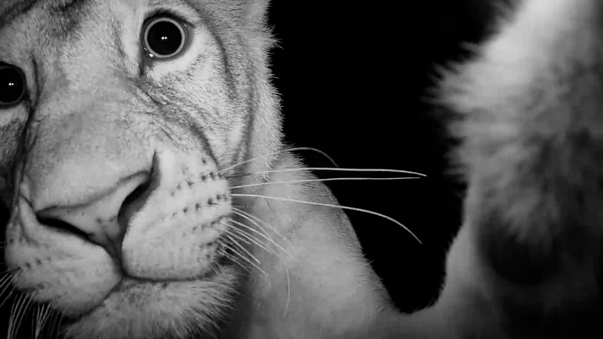 Someone's Ready for Their Close-Up!
