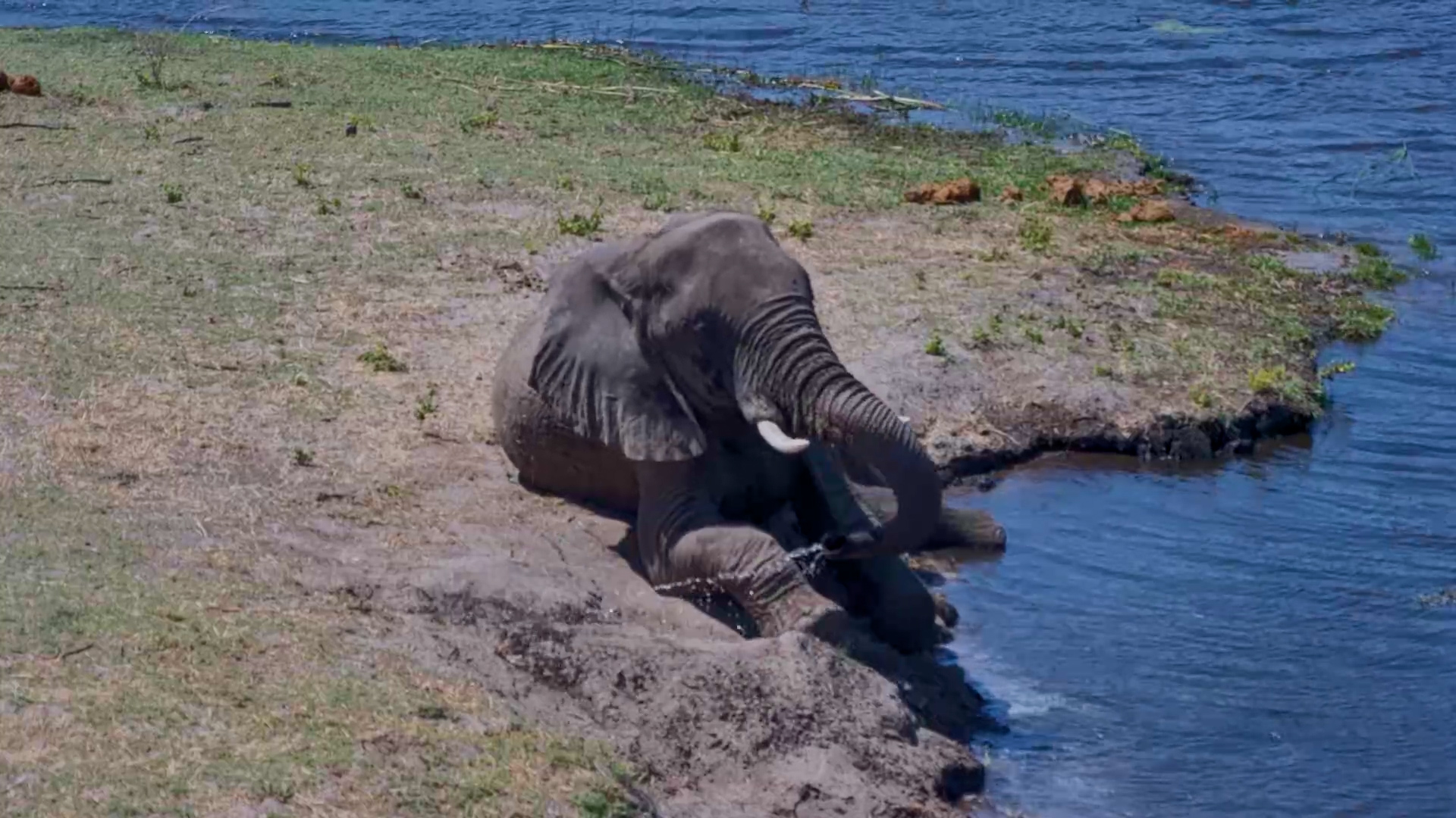 When Monday Arrives but You’re Simply Not Participating