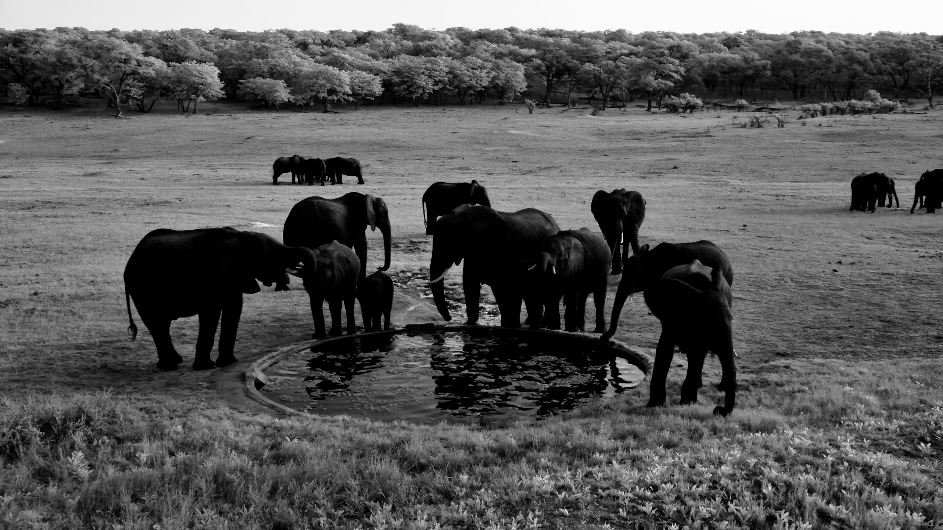 Evening Drinks at Hwange!