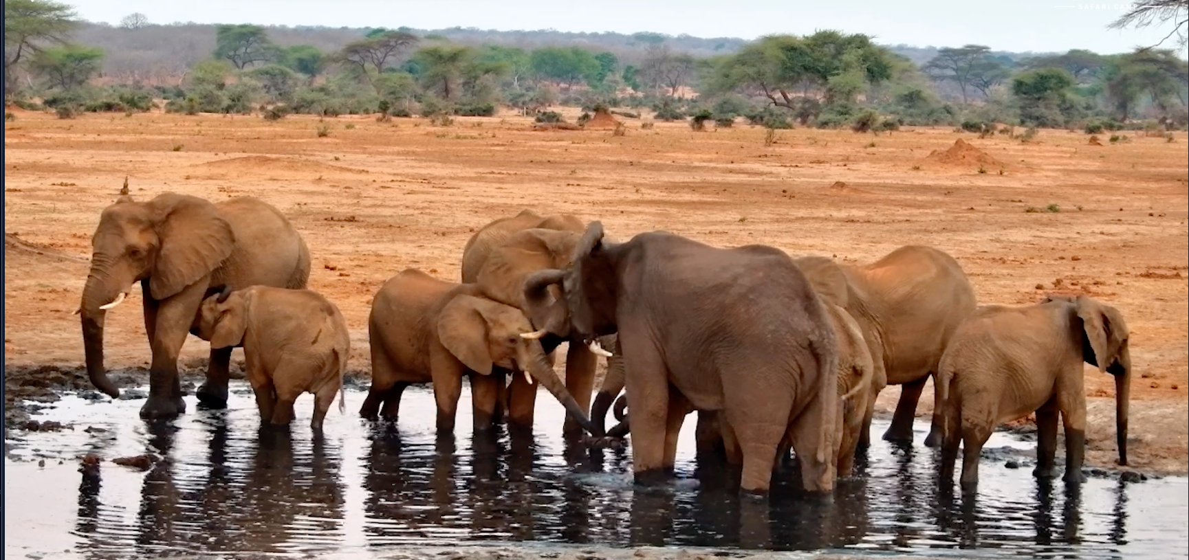 Why Drink Beside the Water When You Can Stand in It?
