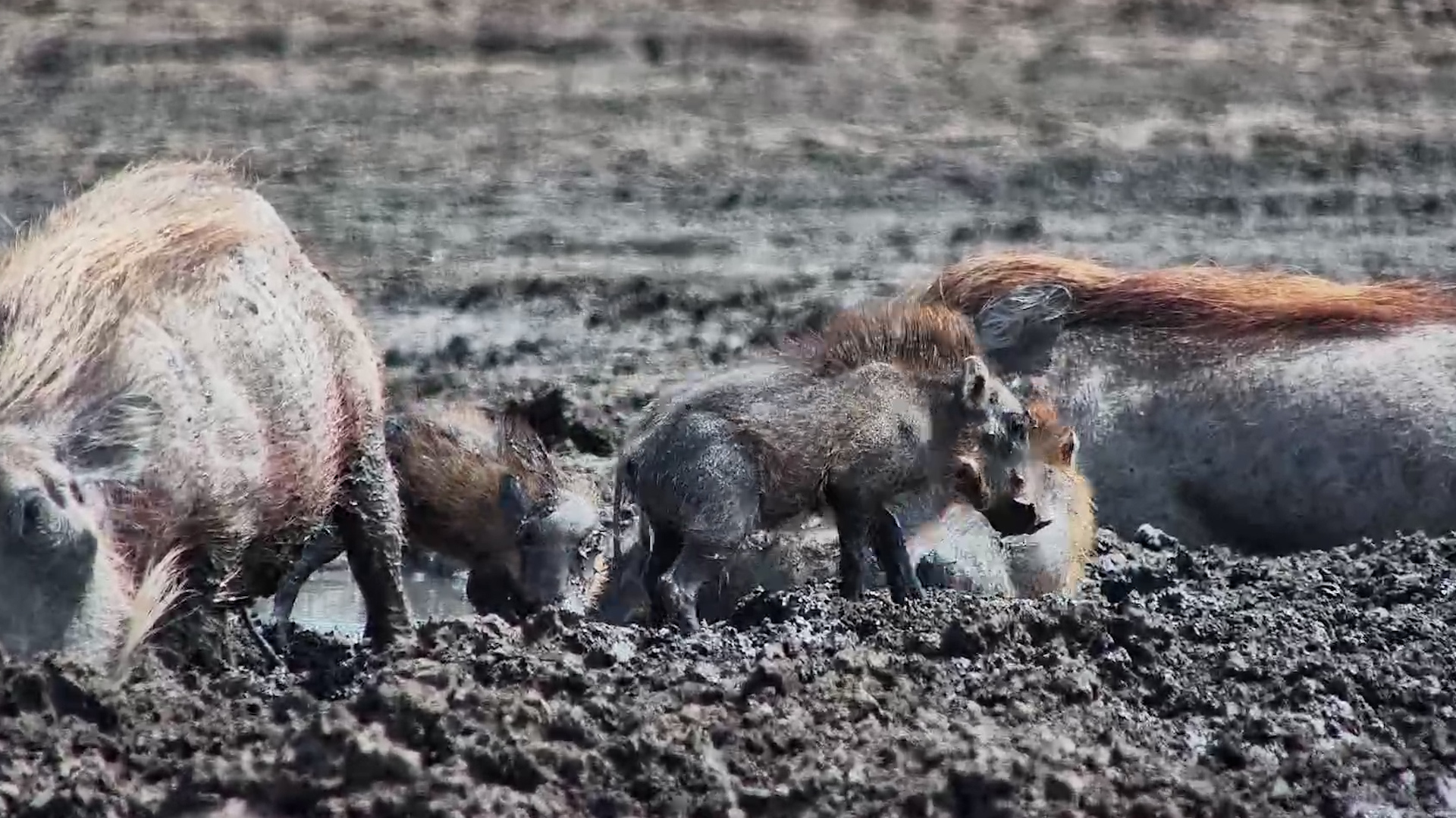 Nothing Beats a Family Mud Bath