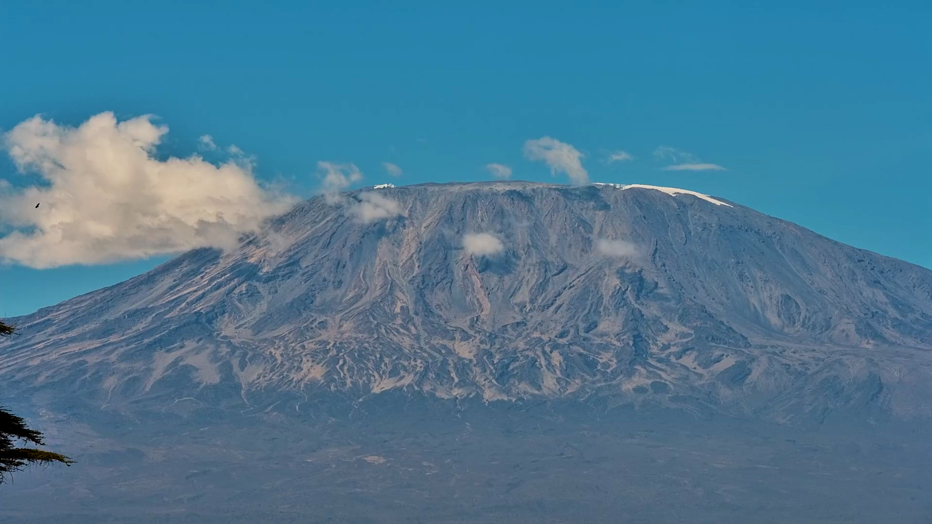 Kilimanjaro in All Its Glory From Angama Amboseli