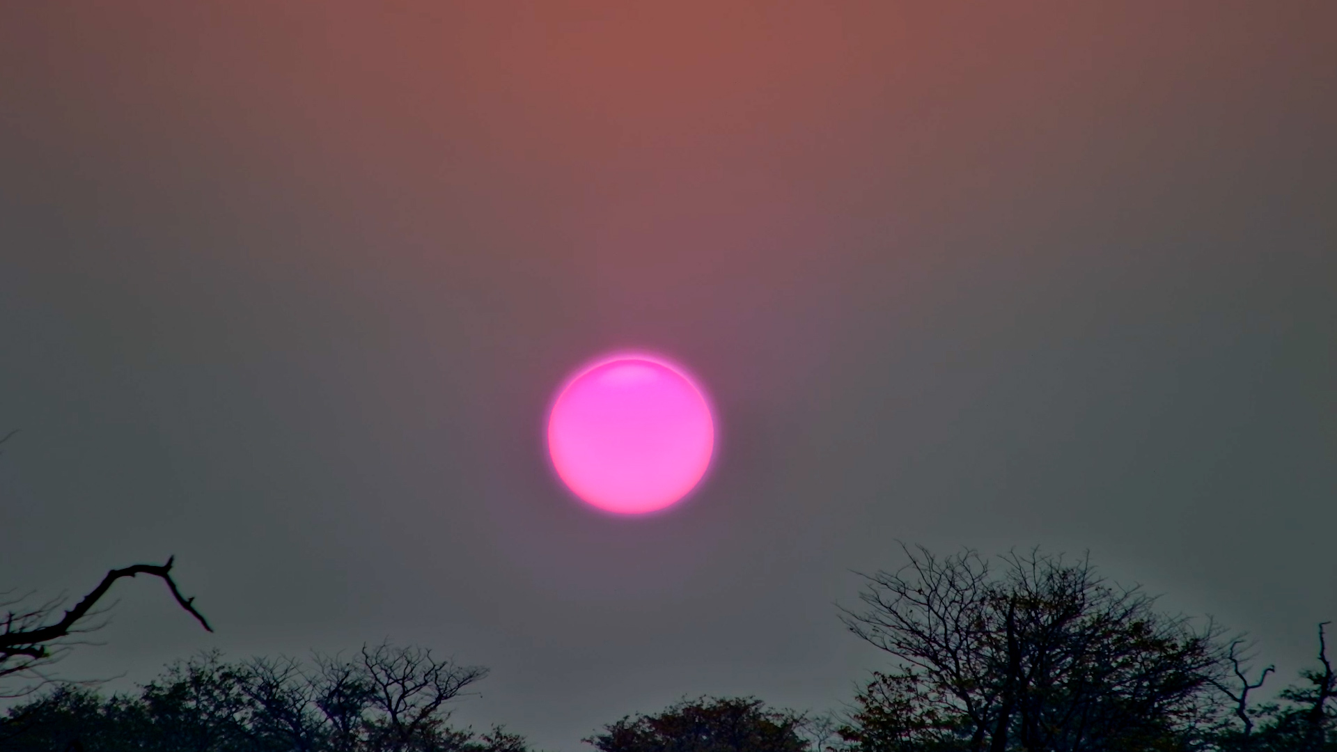 No Wildlife Needed… Just Look at That Sky