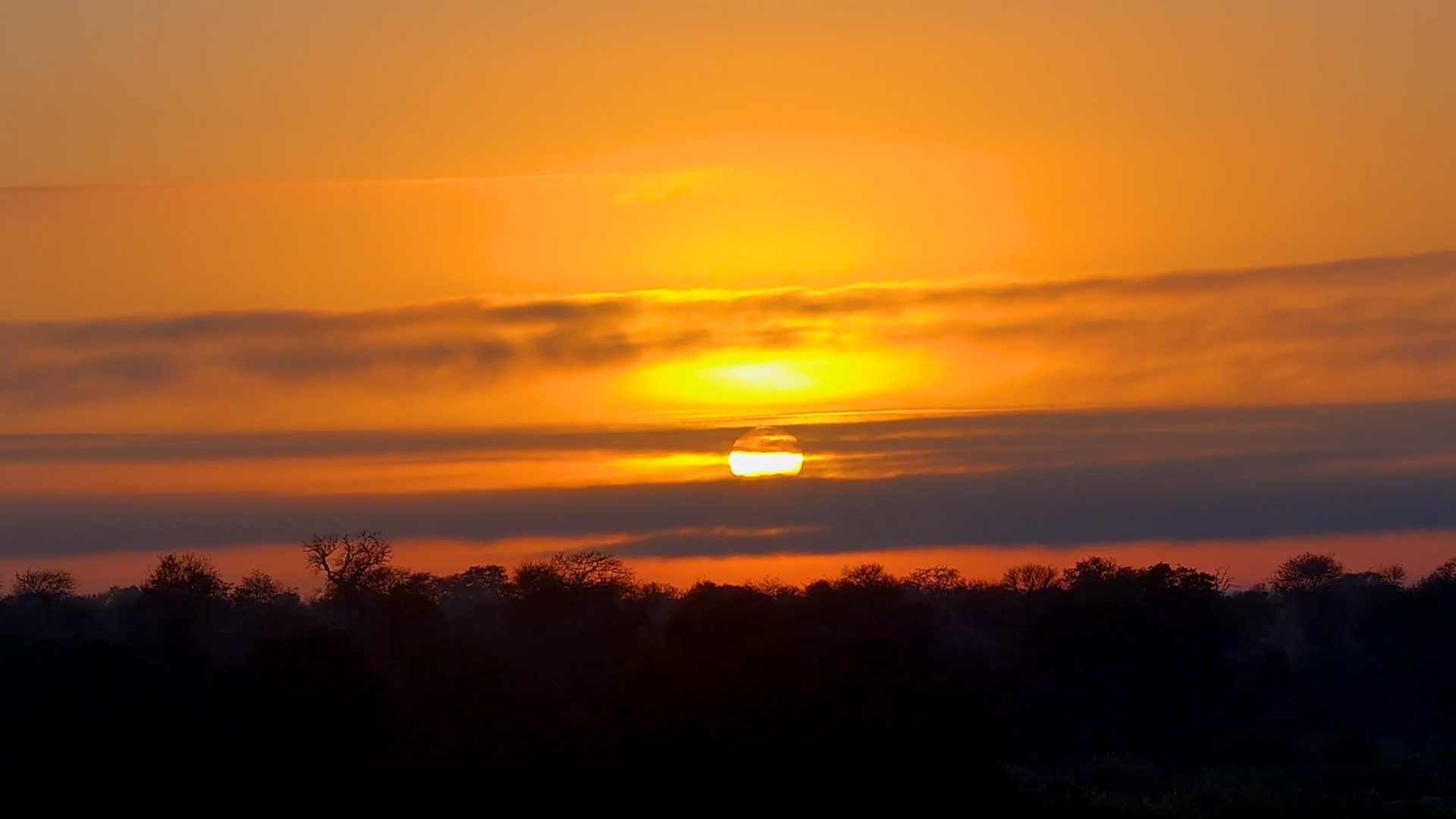 Sunrise Timelapse at Kruger Shalati