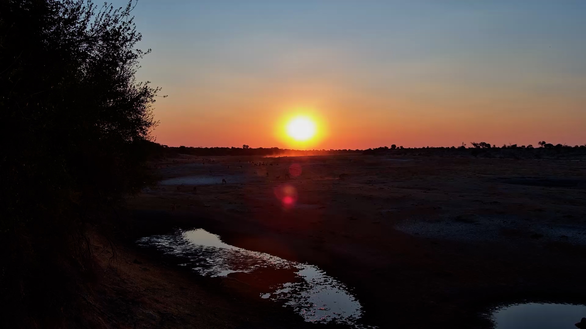 Golden Skies Over Moela: Stunning Botswana Sunset