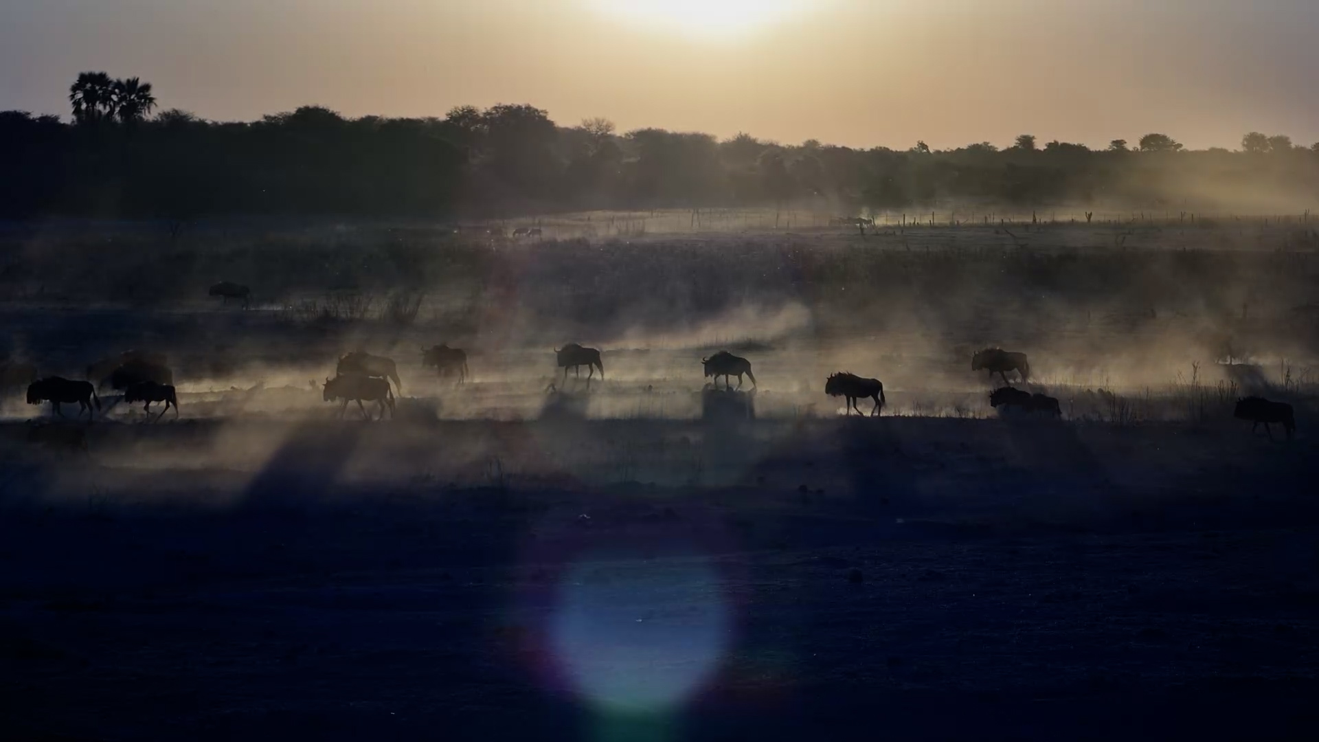 Sunset Over the Boteti Riverbed with Elephants, Zebras & Wildebeest at Moela Lodge