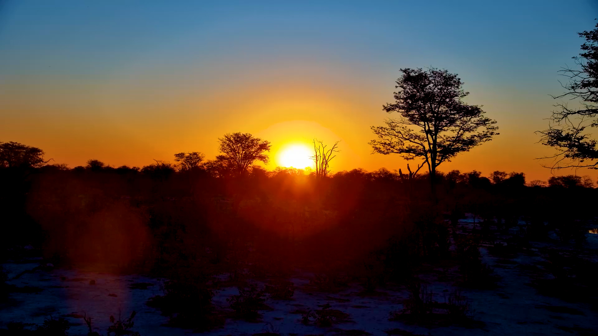 Another Day, Another Sunset at Elephant Pan  Africam 128K subscribers Analytics Edit video