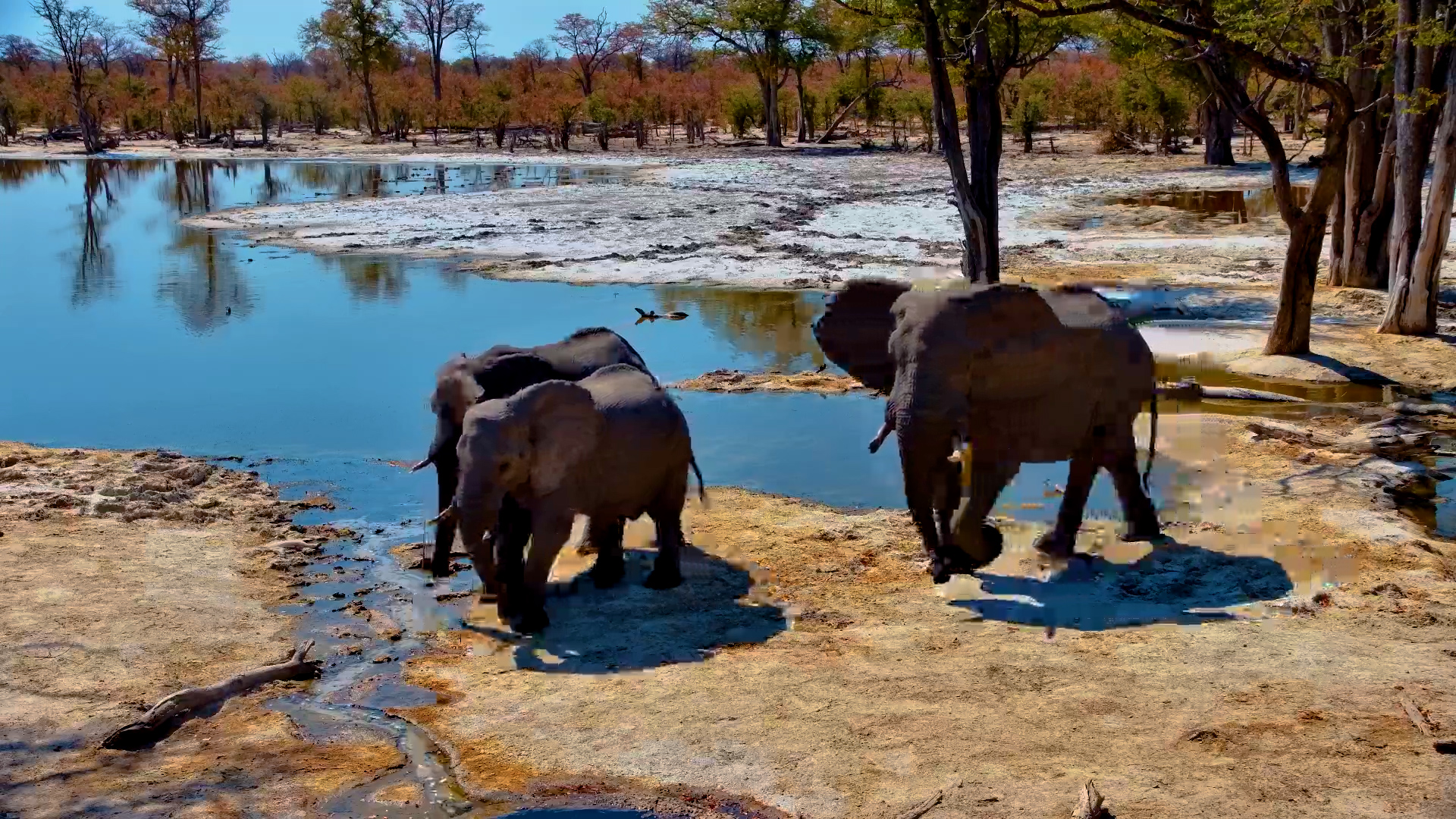 Thirsty Giants at the Well