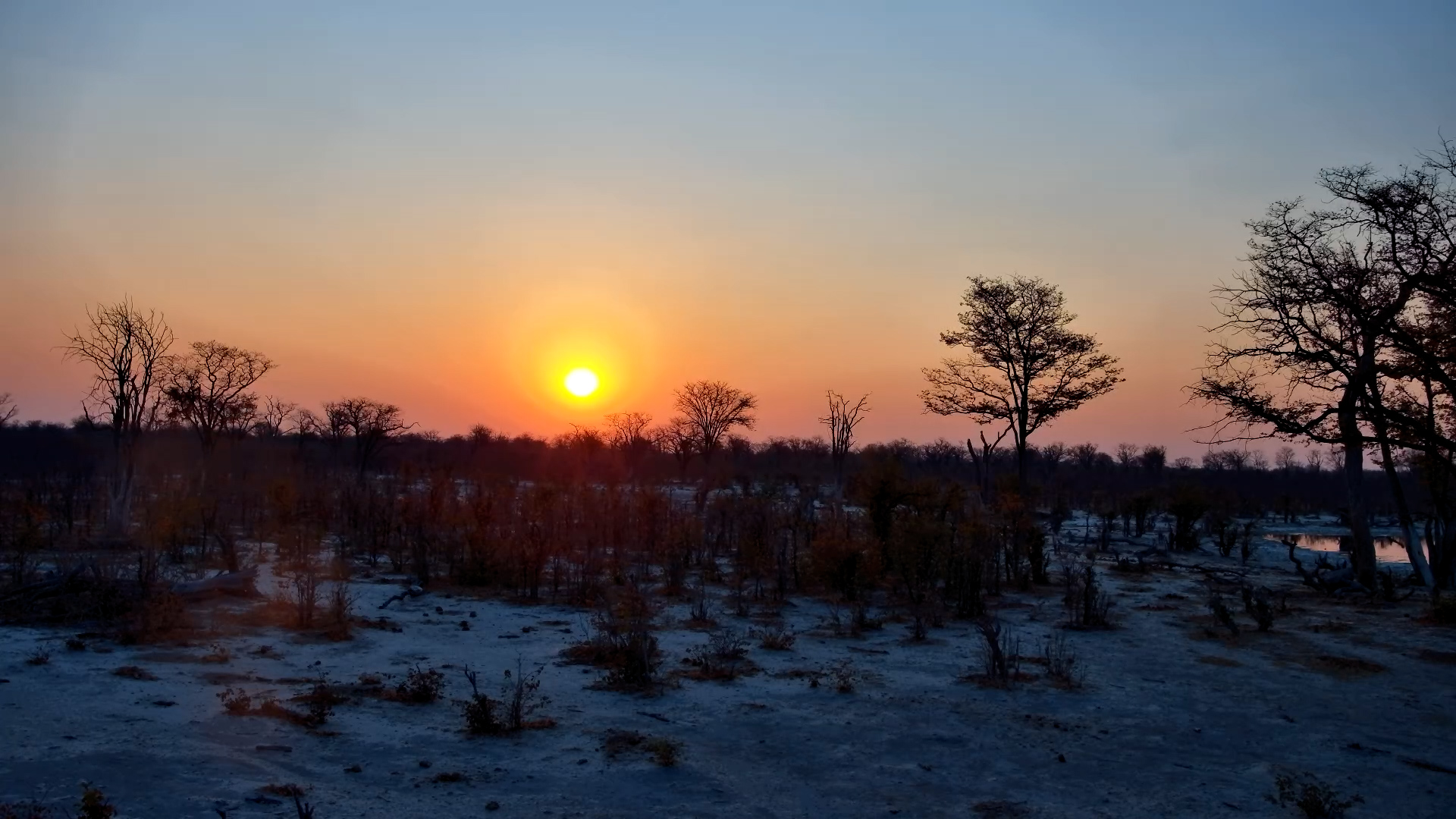 Golden Hour at Elephant Pan, Botswana