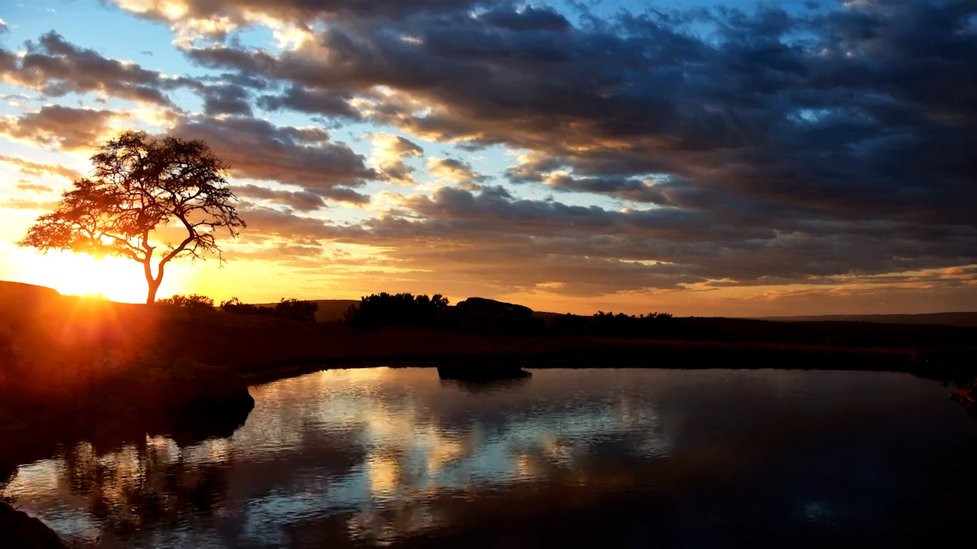 Red & Gold Sunrise Over Founders Waterhole