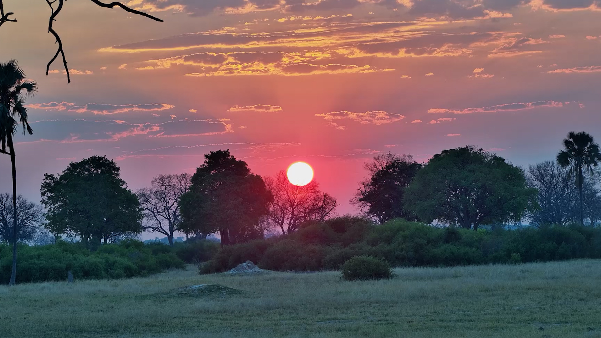 An African Sunset Worth Stopping Everything For