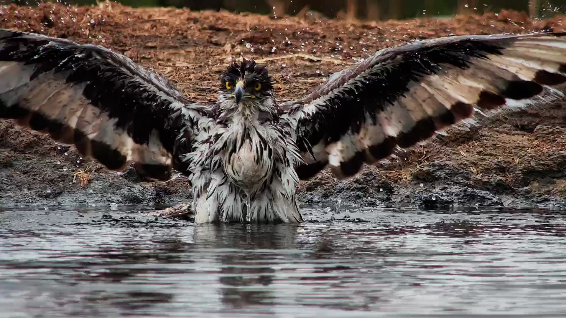 There’s Taking a Bath… Then There’s This!