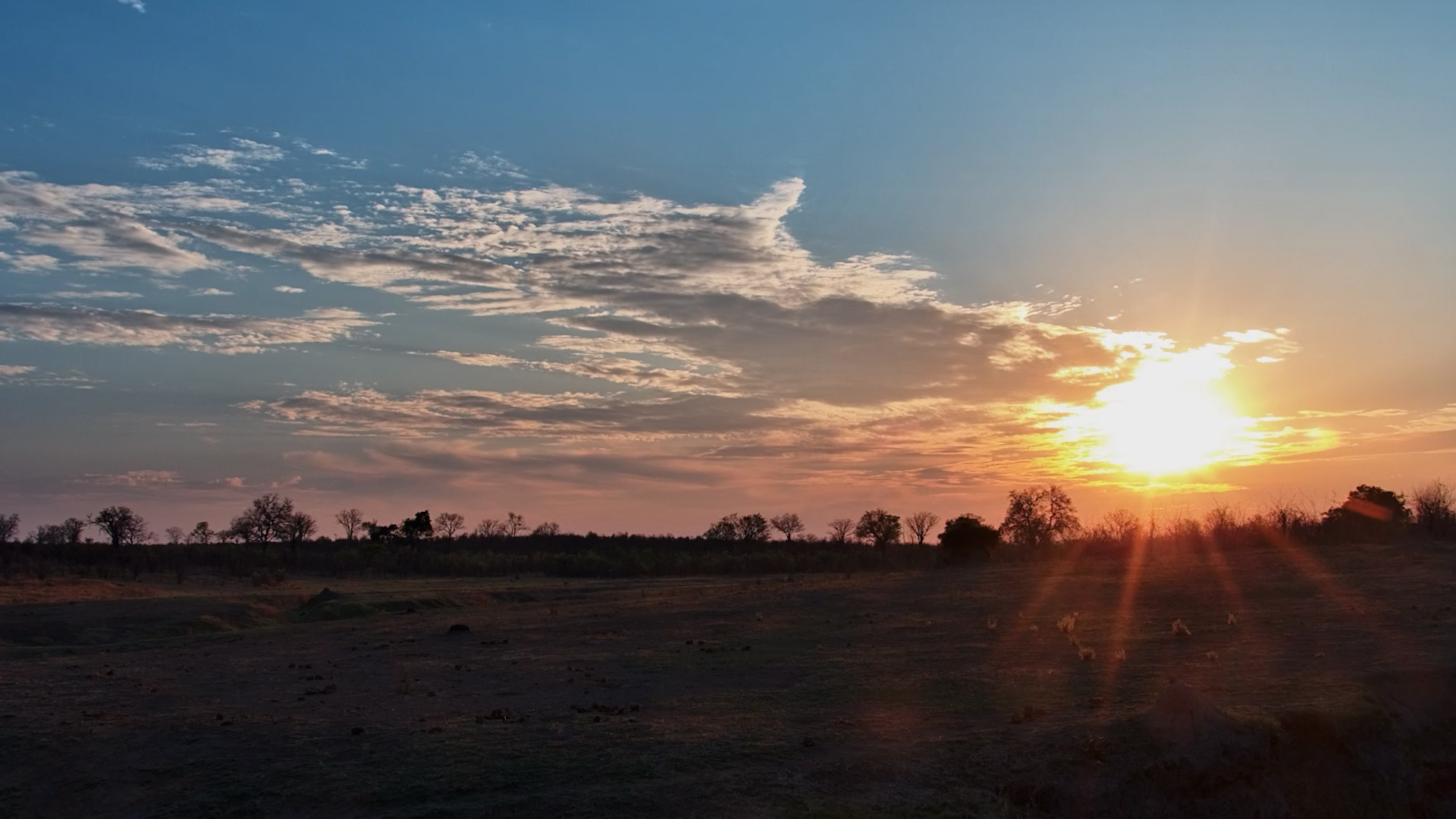 Hwange's Springs Look Magical in the Last Light of Day