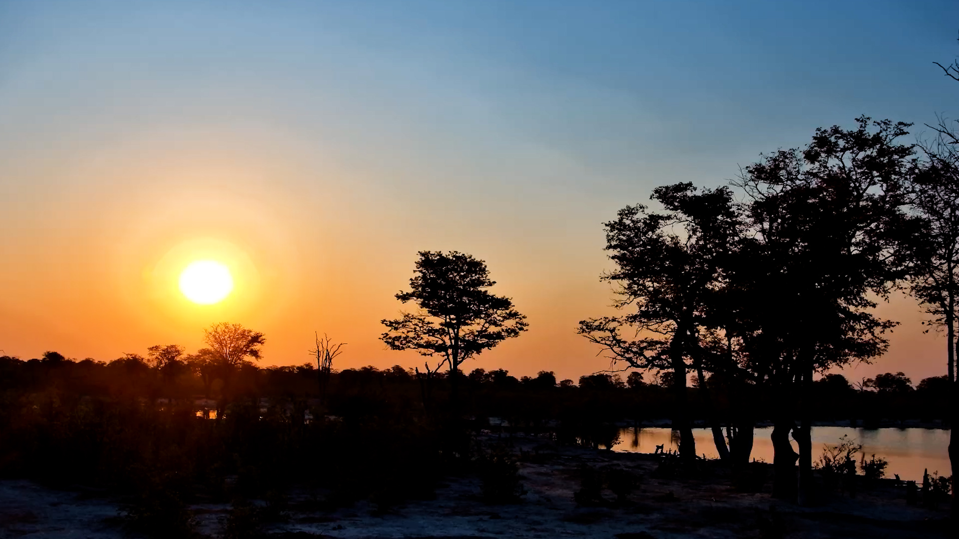 When the Botswana Sky Steals the Show