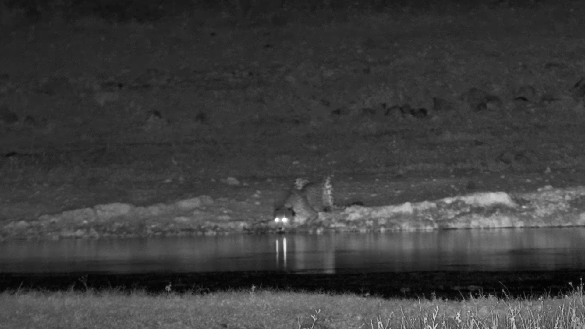 The Darkness Reveals a Very Special Visitor