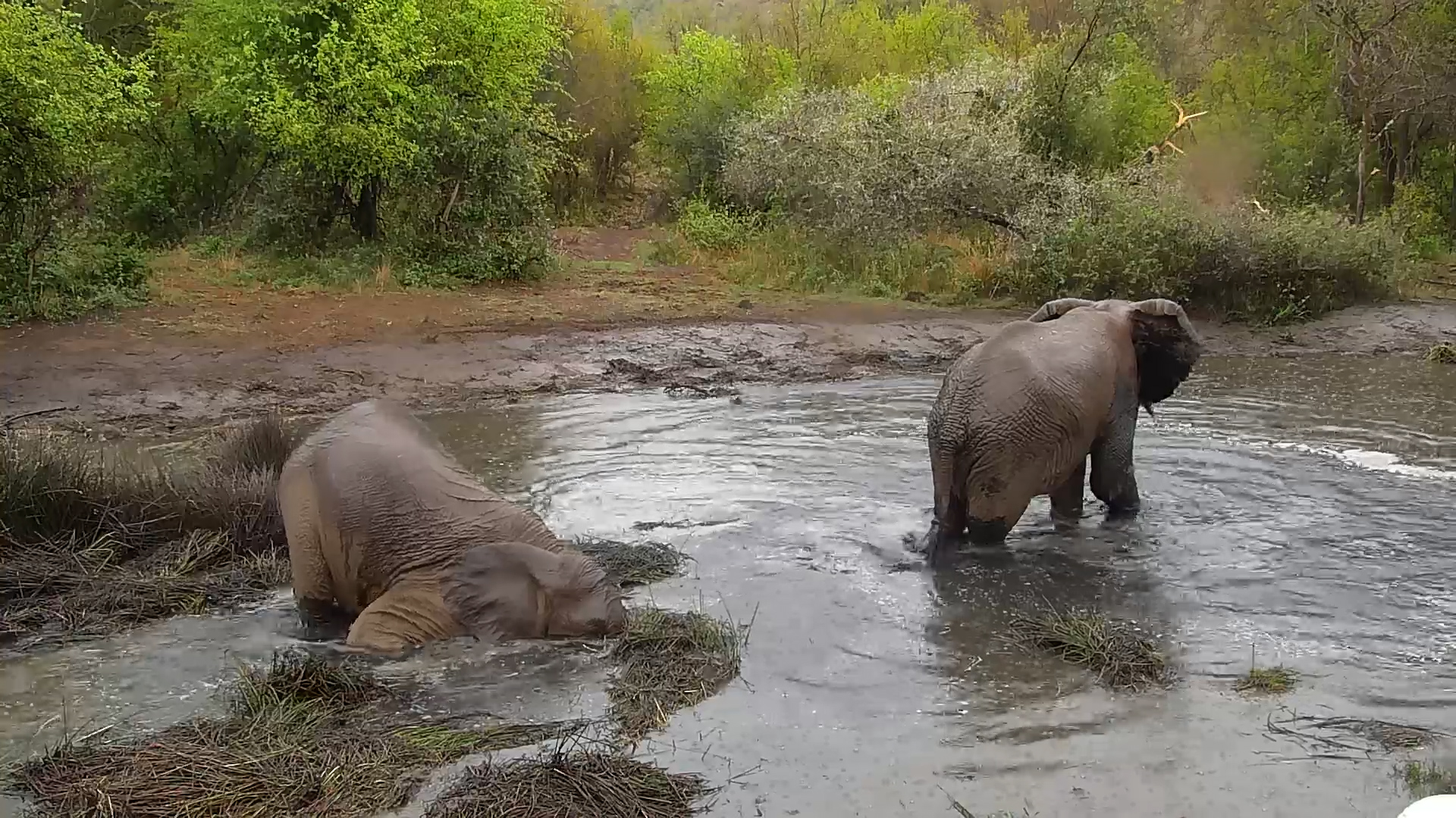 Mud, Water AND a Stick? Best Day Ever