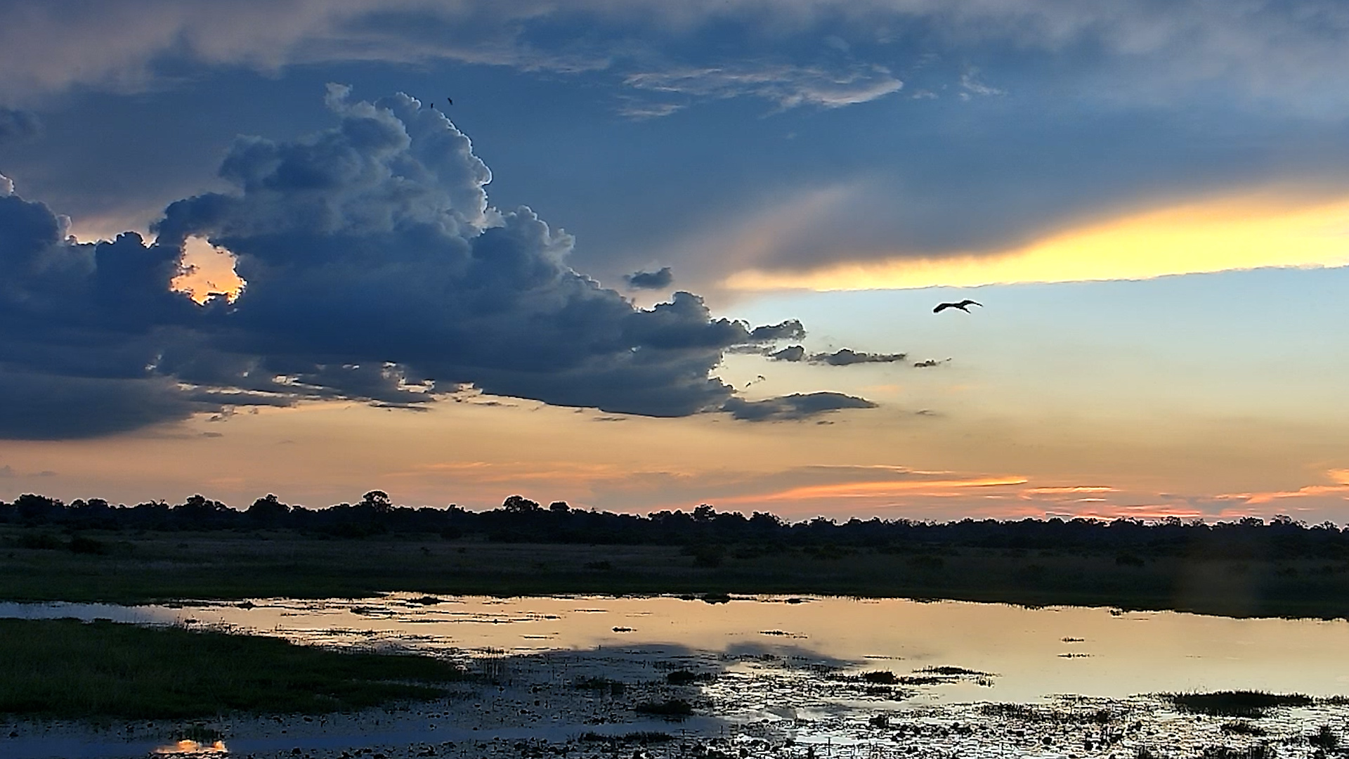 The Magic Hour at The Basin