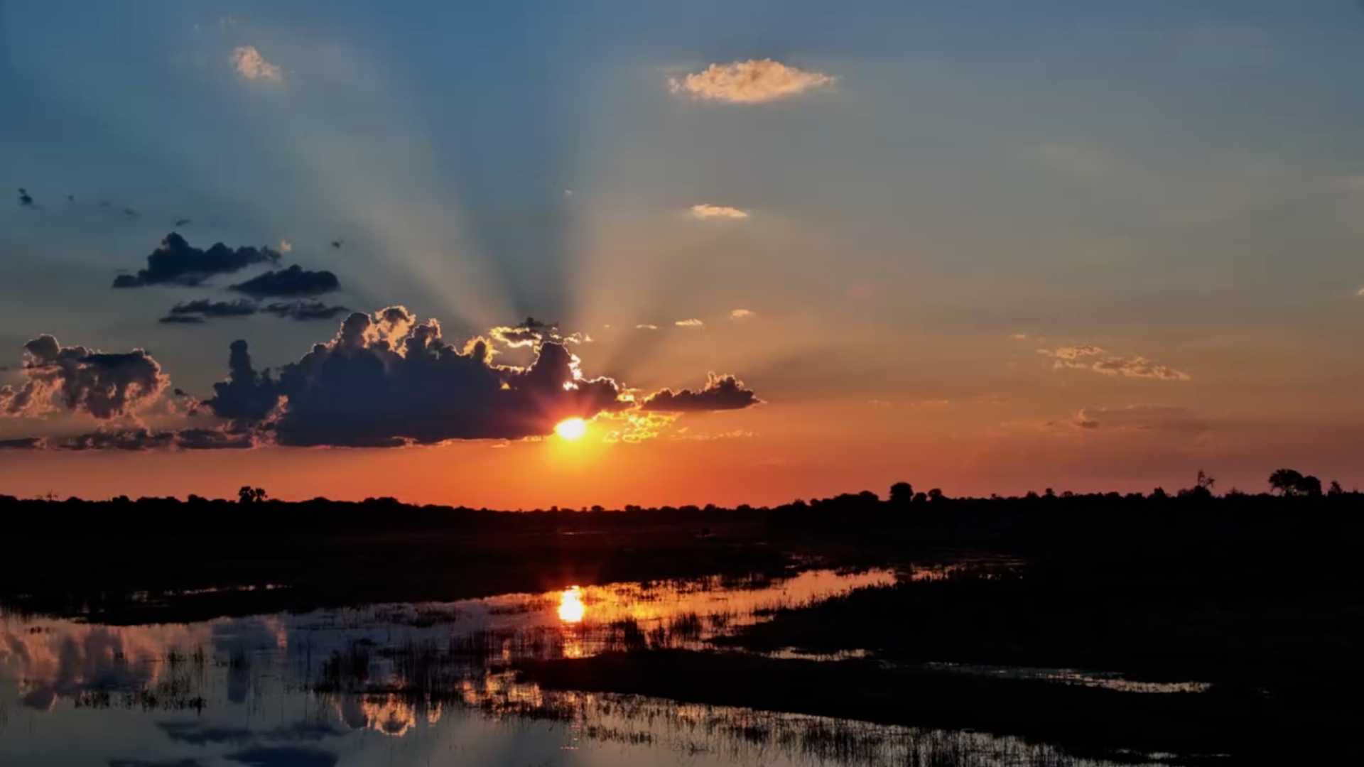 The African Bush Glowed at Sunset