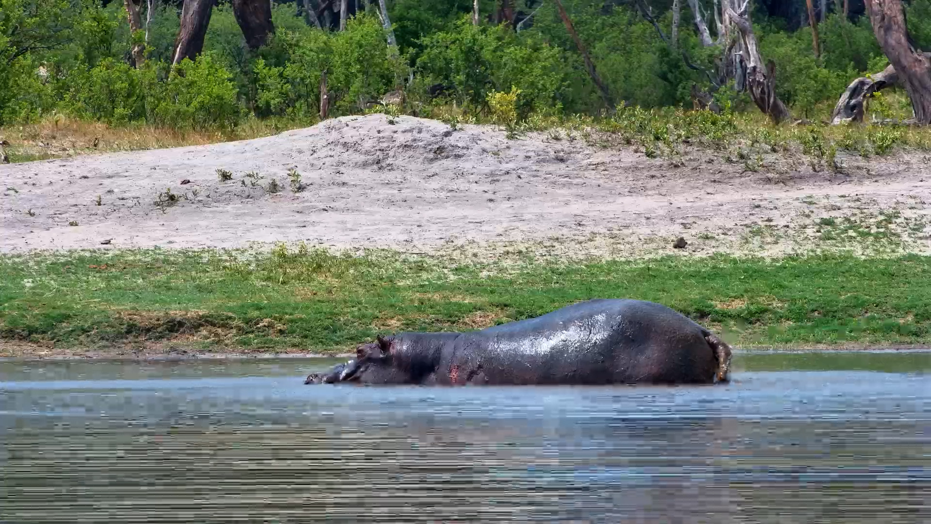 Moto Moto’s Spa Day: Sun, Sand & Stretching!