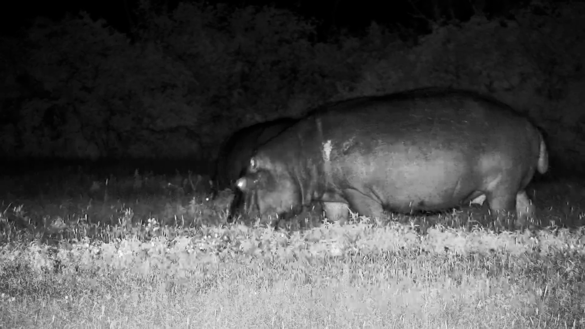 Moto Moto’s Date Night!