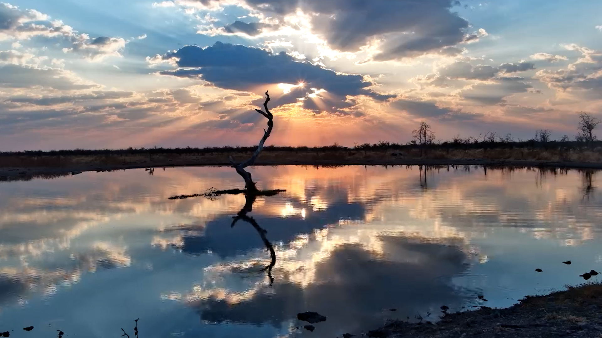 Stunning Orange & Blue Hues at Safarihoek Waterhole