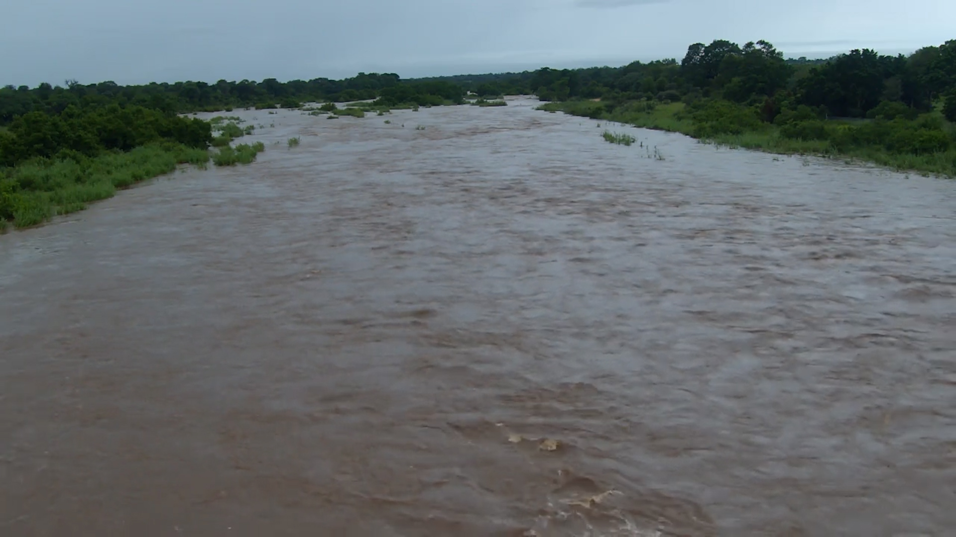 Dramatic Sabie River Scenes at Kruger Shalati | Jan 2026