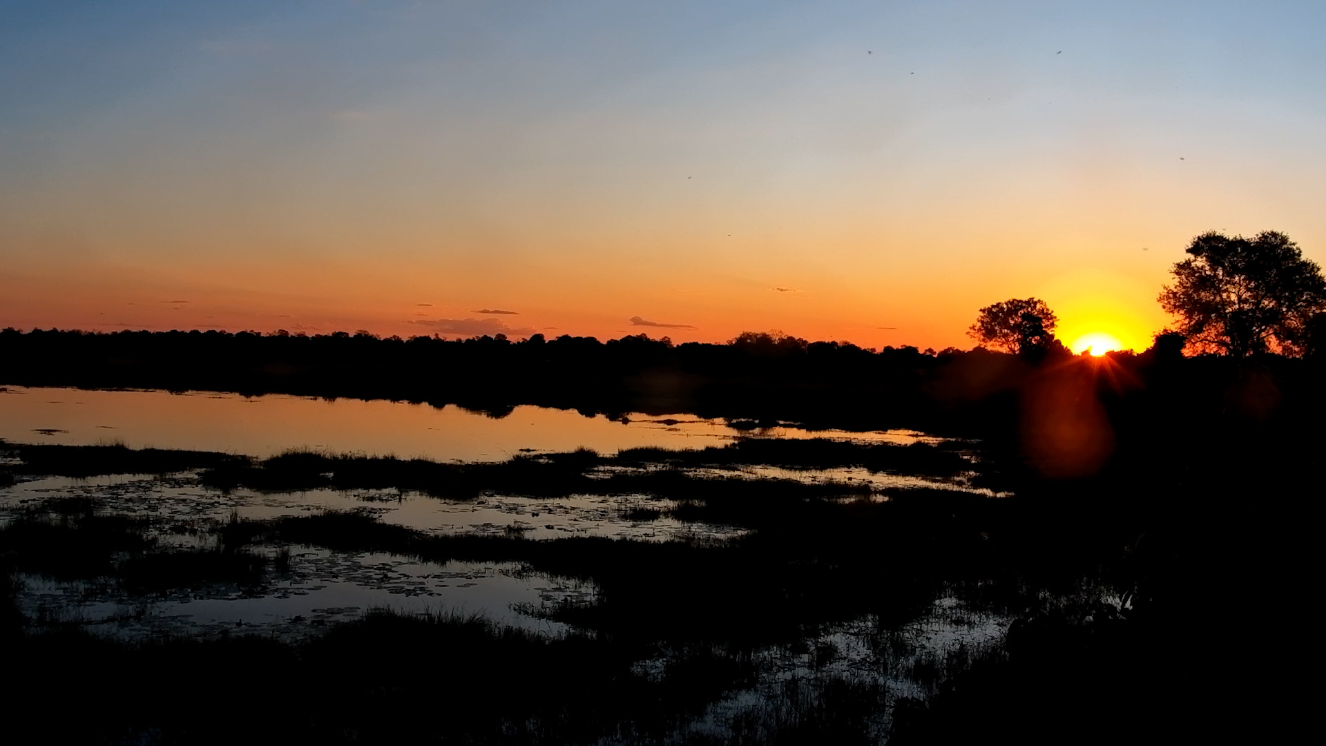 Golden Stillness Over The Basin
