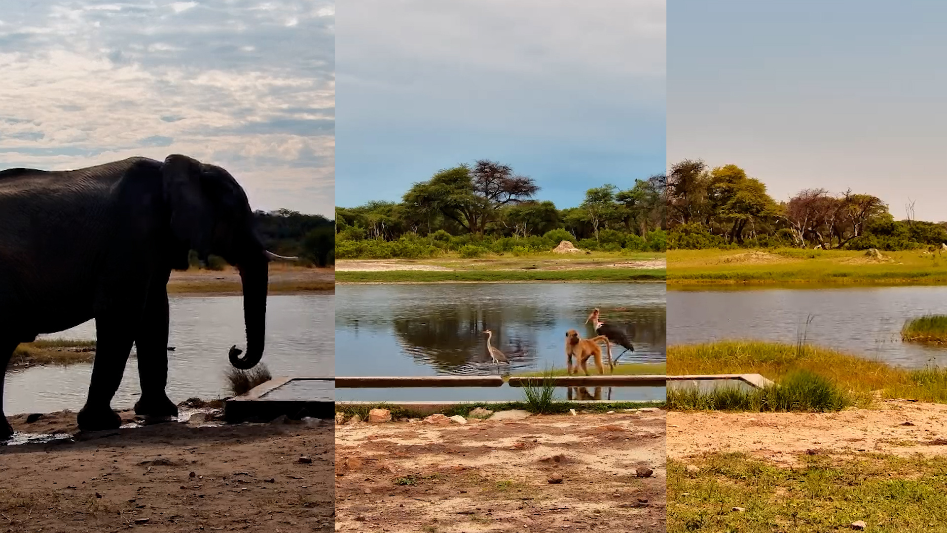 Seasonal Changes at The Hide Waterhole