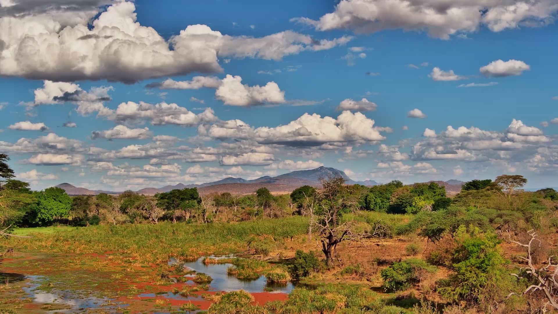 Timelapse: Clouds Drift Over Finch Hattons