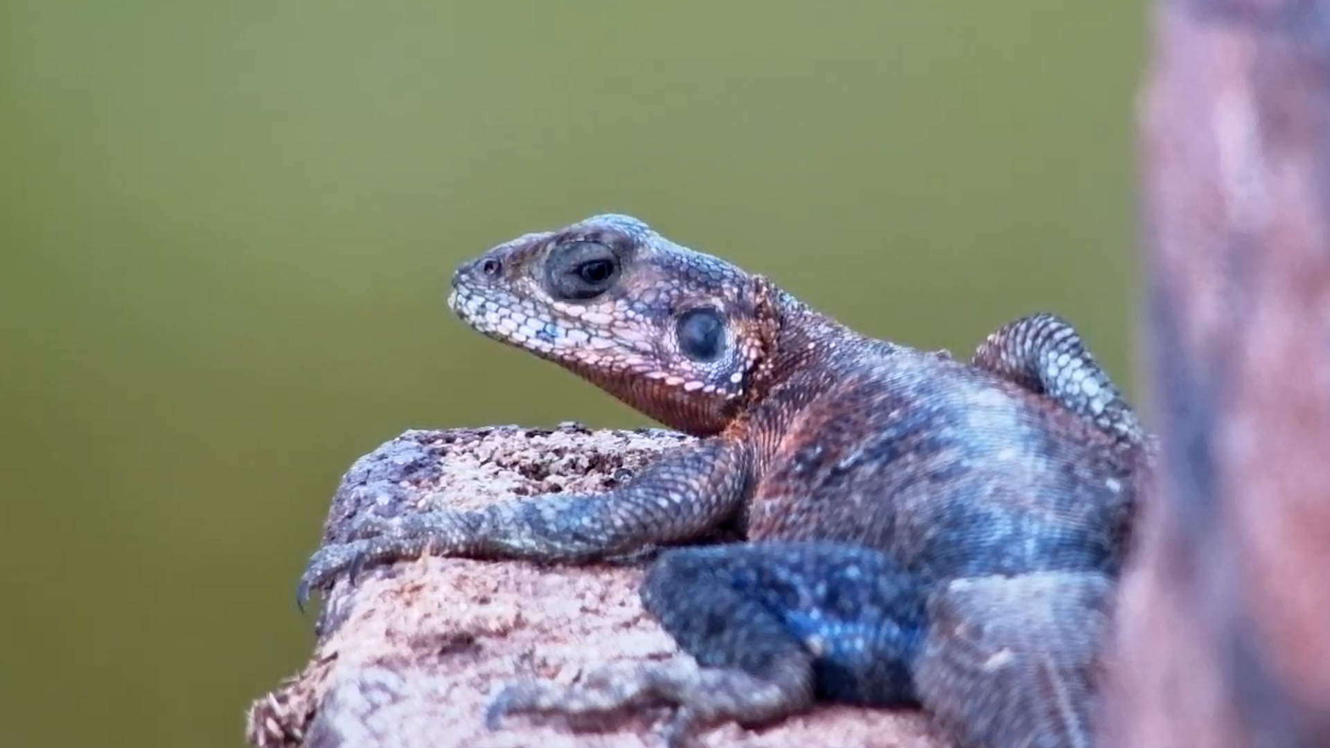 When Sunbathing Becomes a Power Struggle