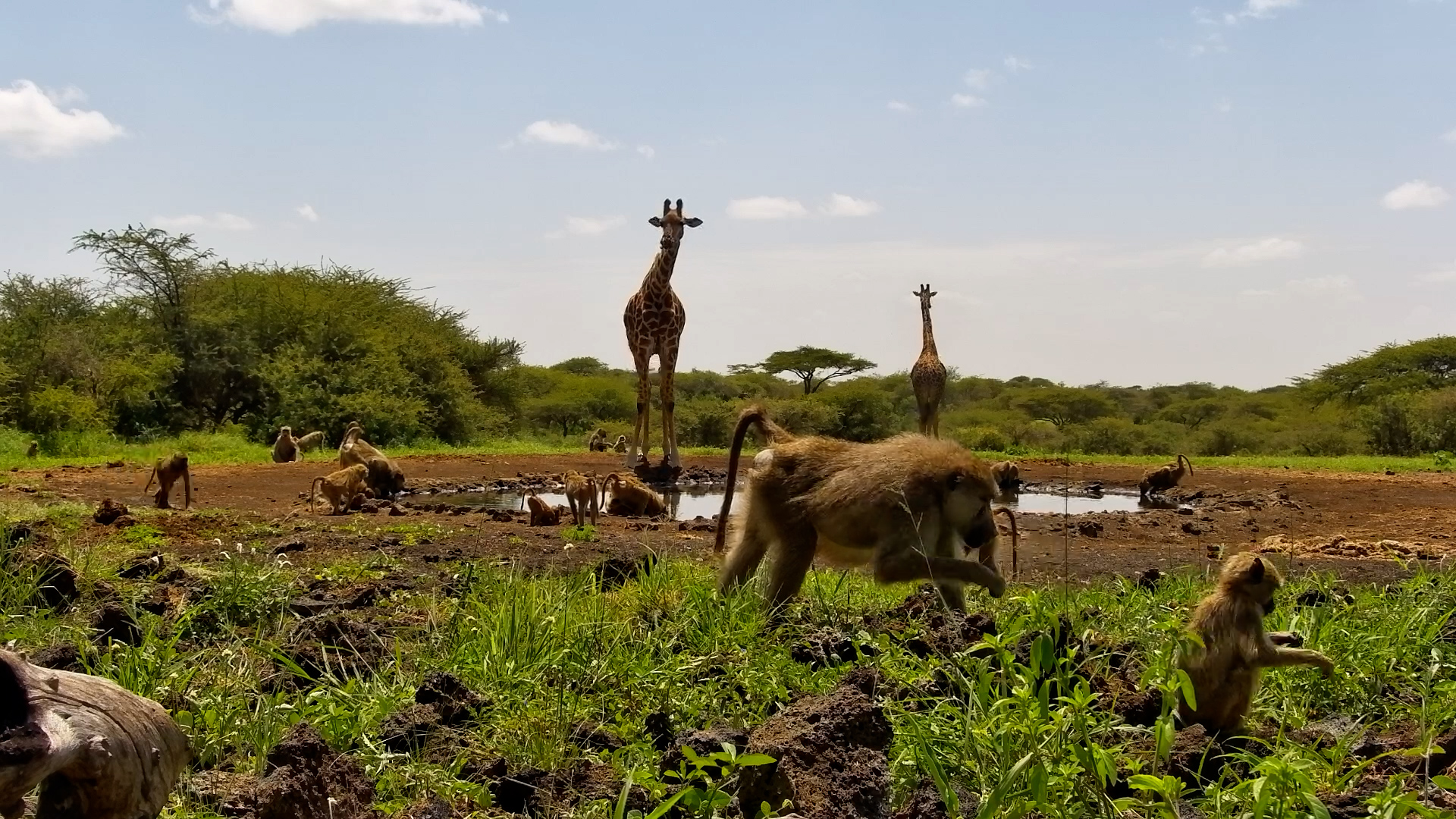 Big & Small in Harmony