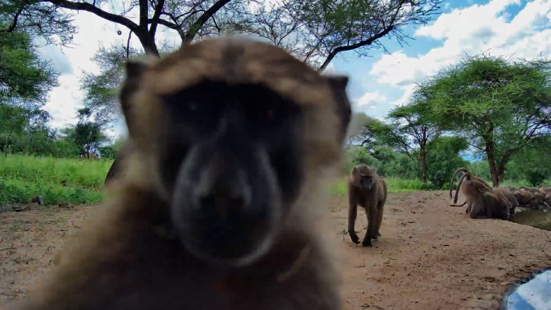 When the Whole Troop Checks Your Setup