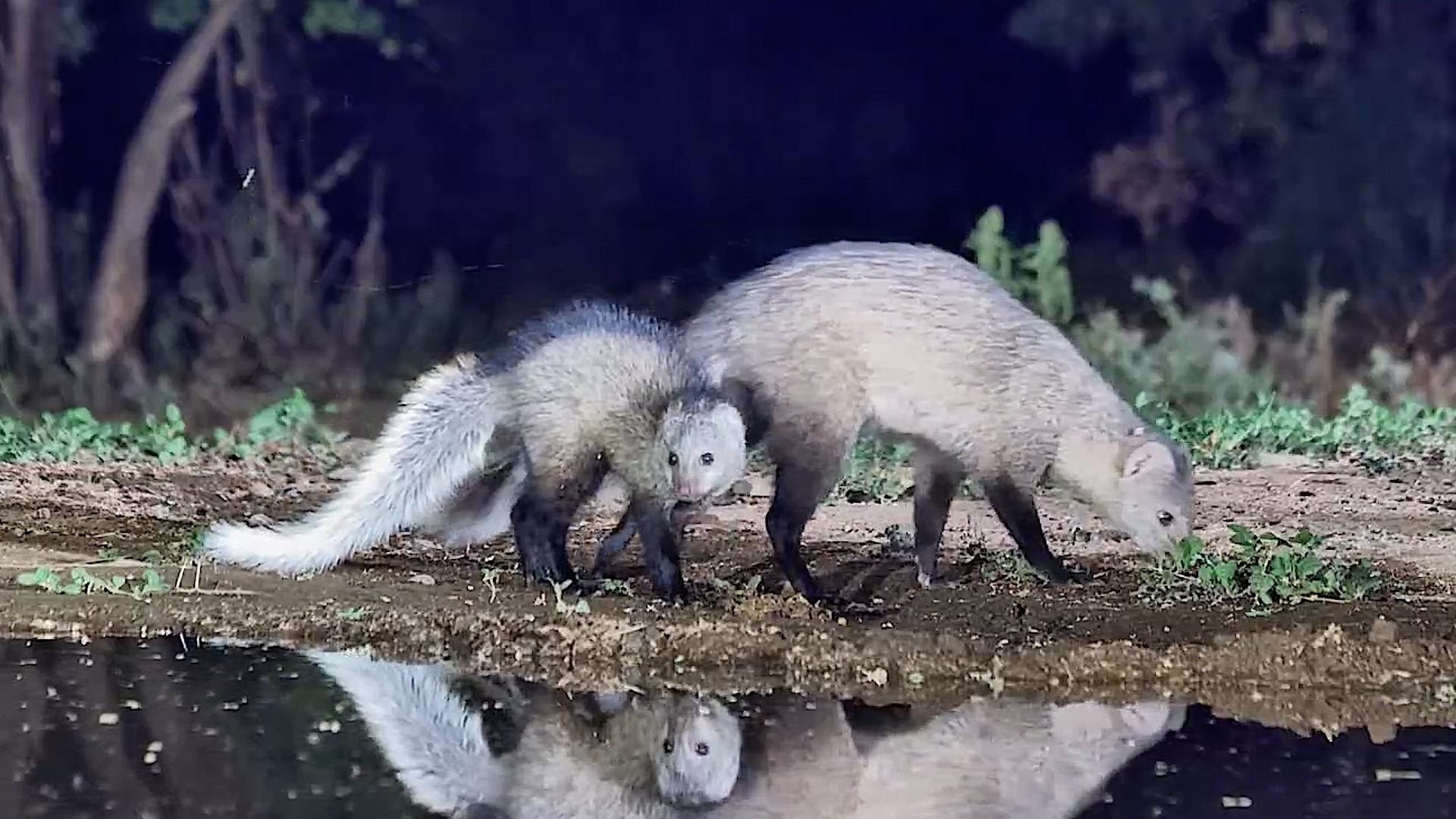 Mum and Baby Are Back!