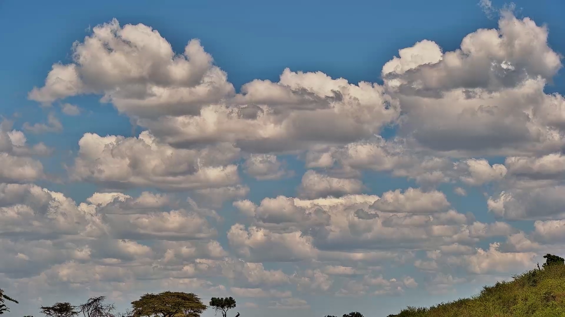 Beautiful Cloud Formations Over the Mara