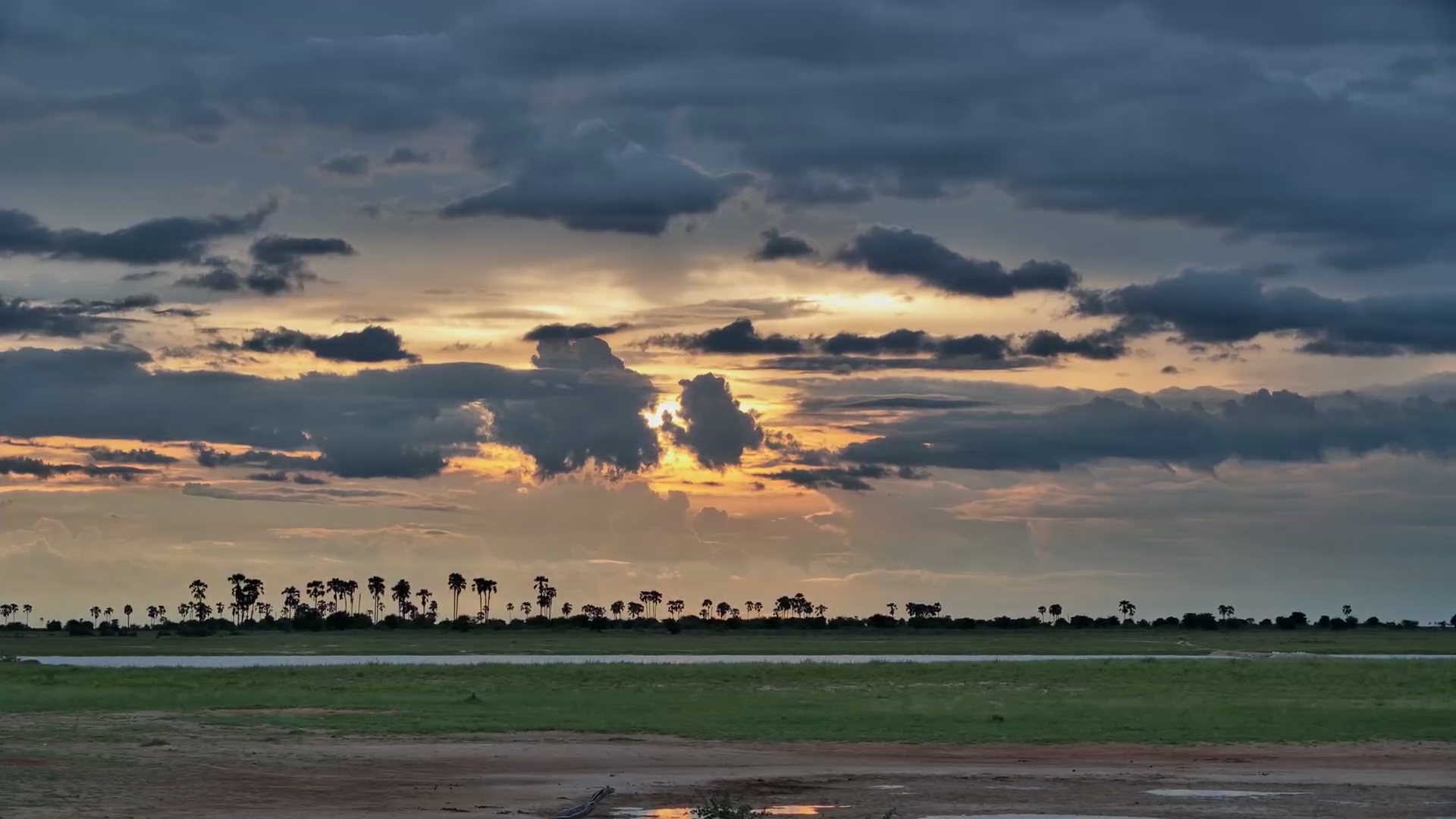 Africa Painted in Gold