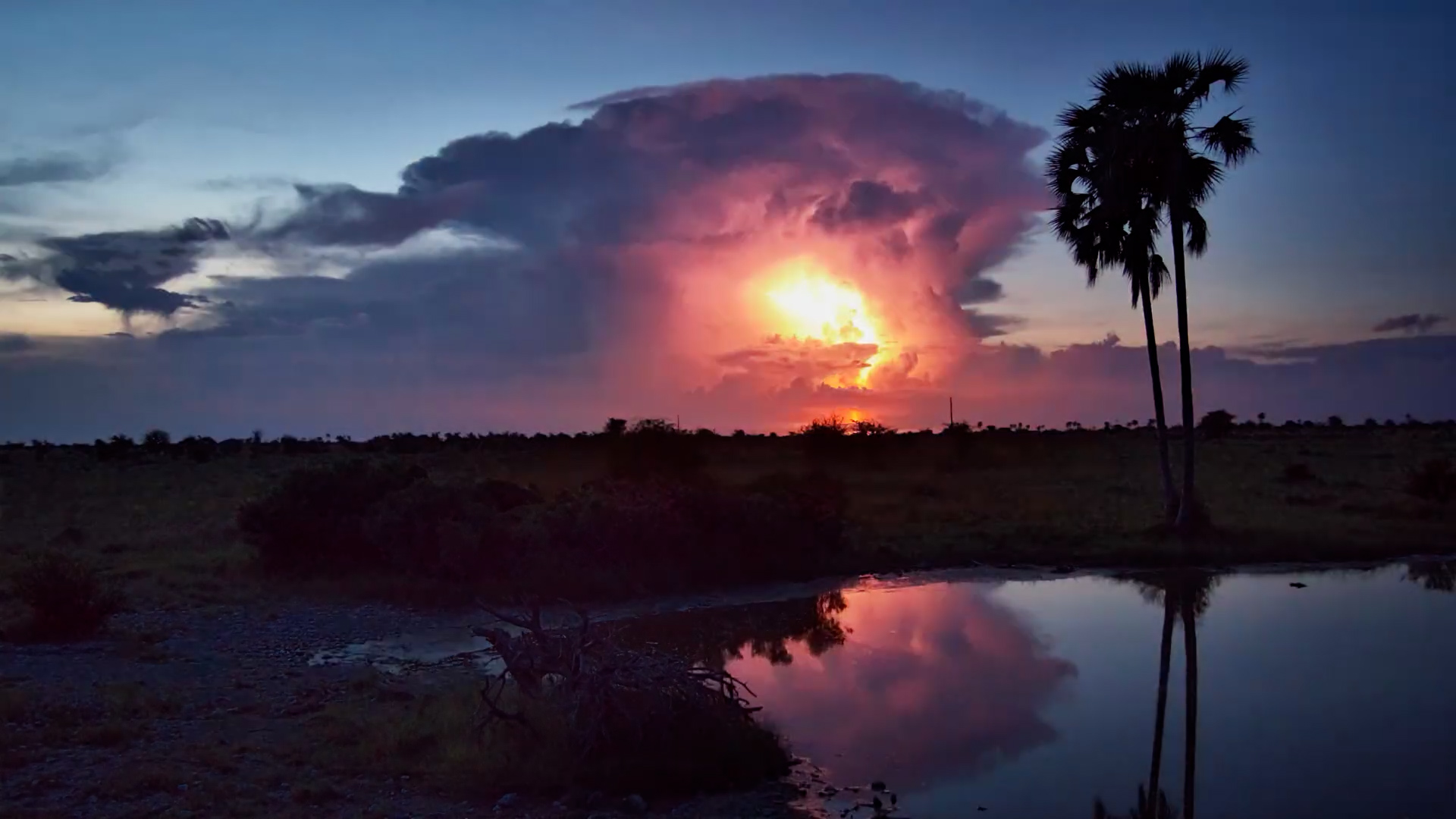 Storm Builds Over the Kalahari